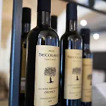 酒店 Aurora E Del Benessere